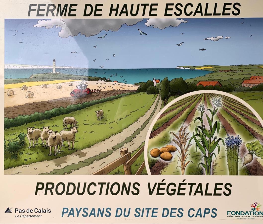 Ferme De La Haute-Escalles Kültér fotó