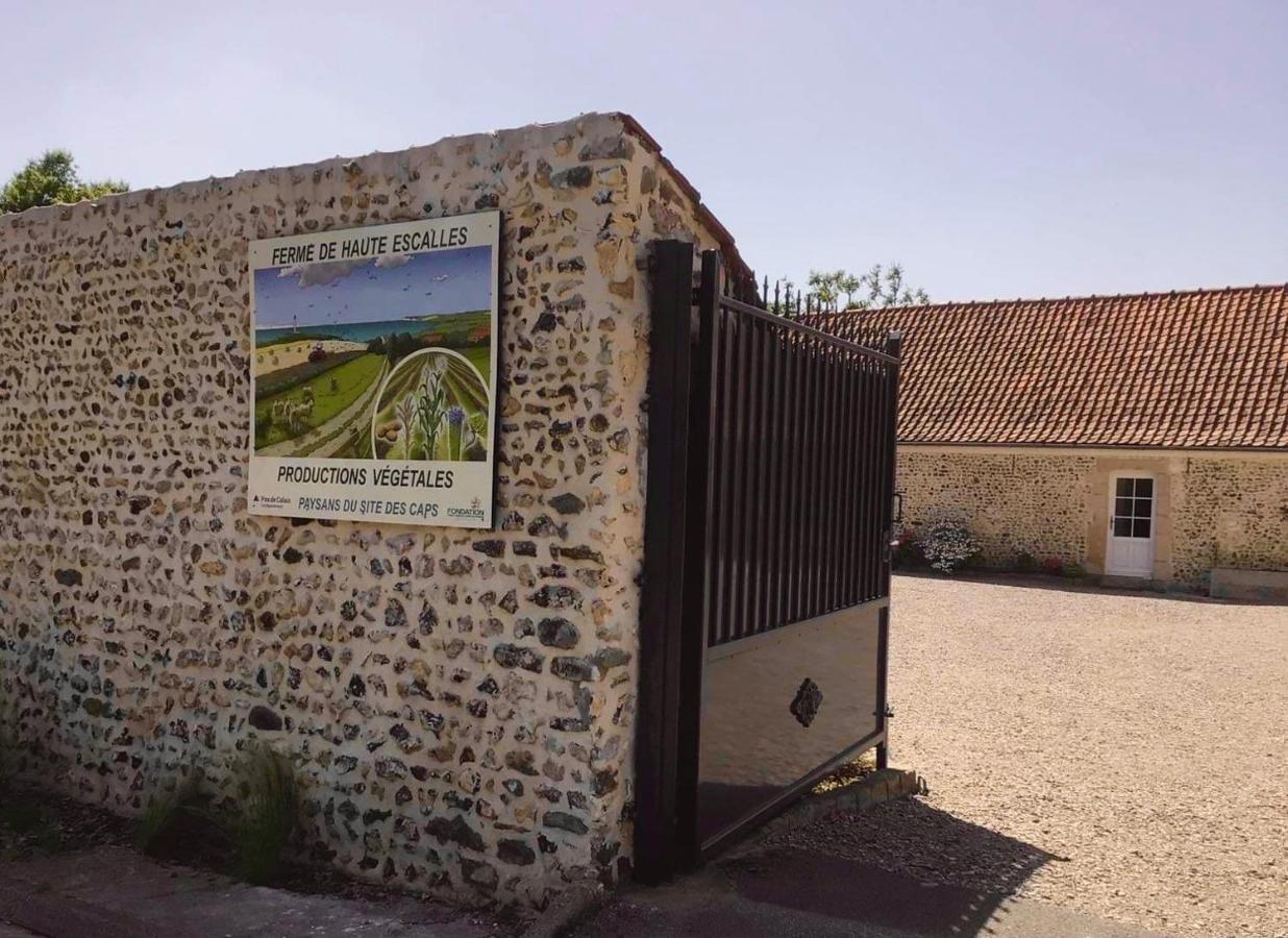 Ferme De La Haute-Escalles Kültér fotó